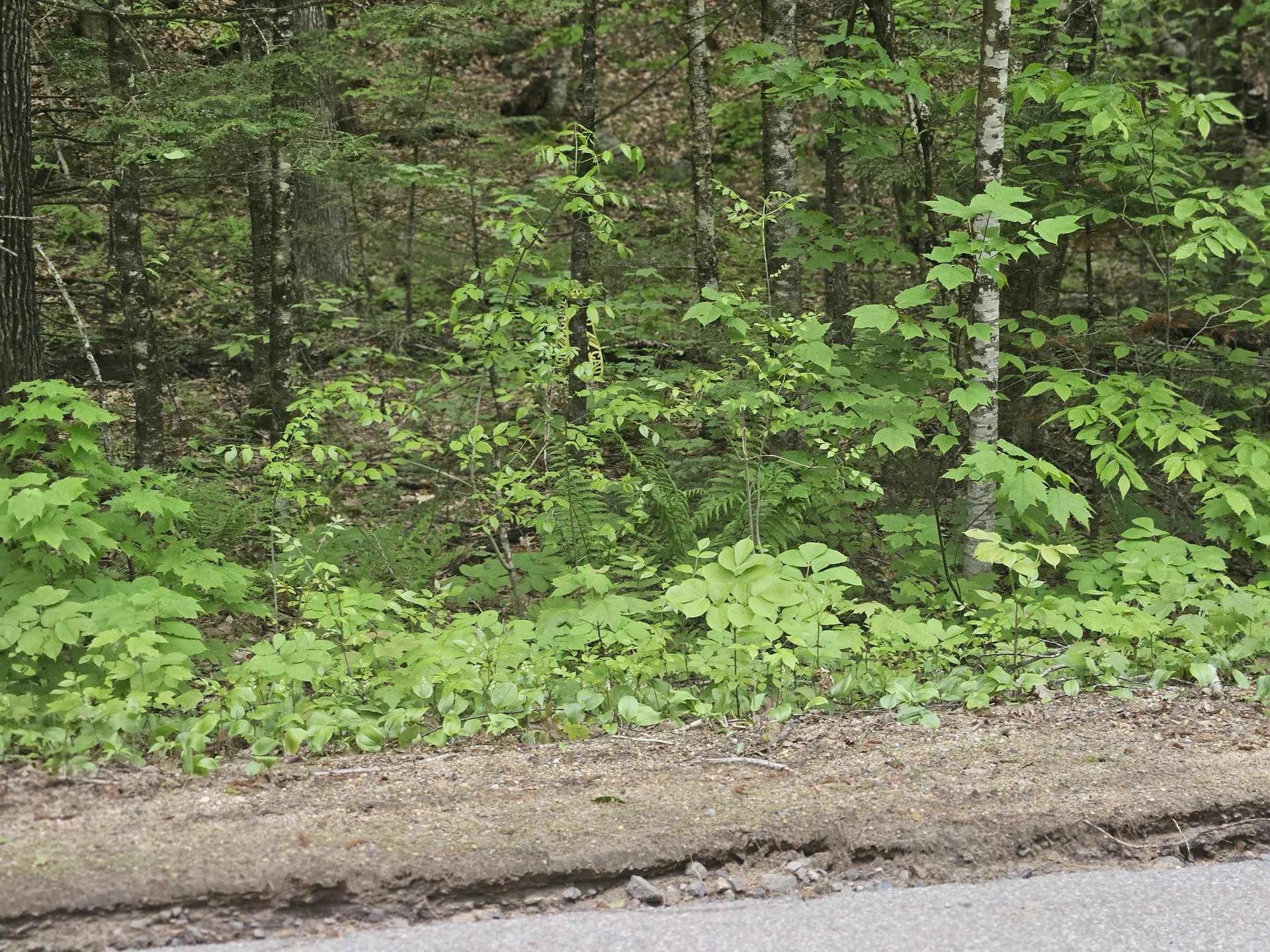 15-4-15 Beaver Brook Road Campton NH 03223