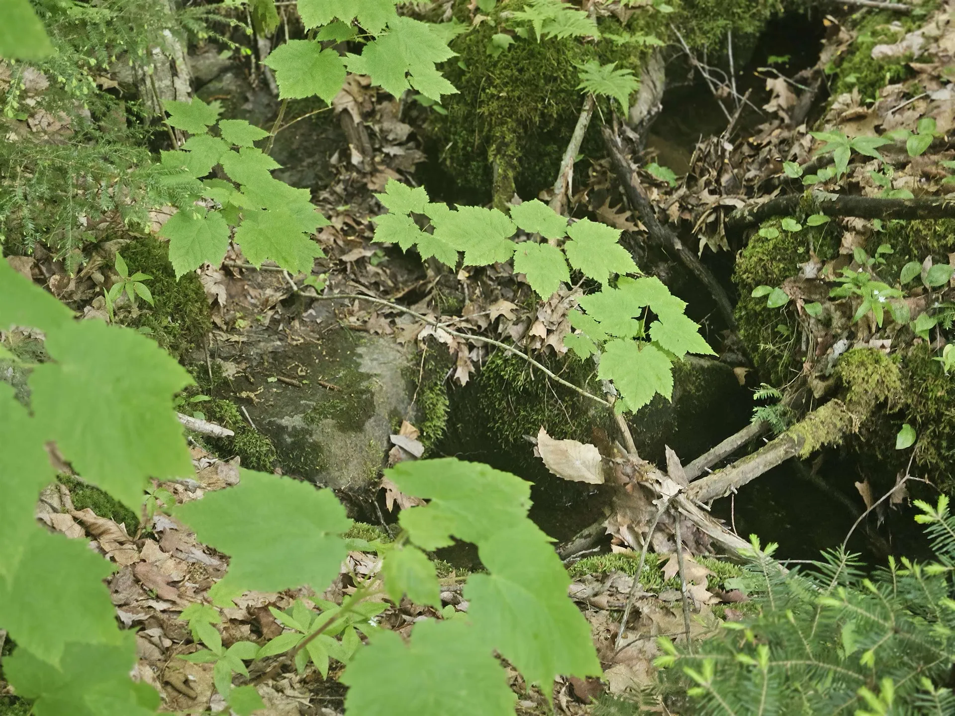 15-4-15 Beaver Brook Road Campton NH 03223