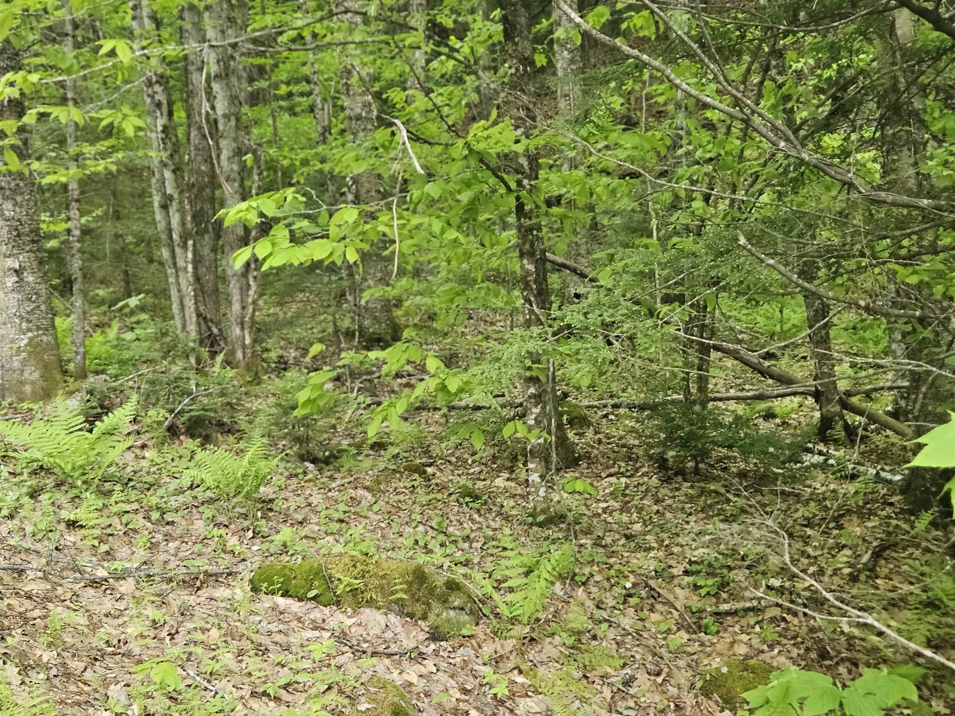 15-4-15 Beaver Brook Road Campton NH 03223