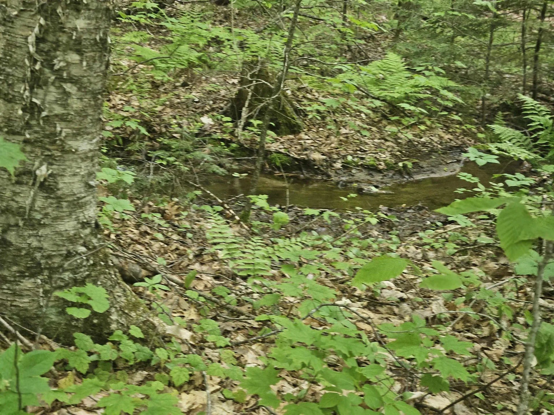 15-4-15 Beaver Brook Road Campton NH 03223