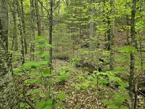 15-4-15 Beaver Brook Road Campton NH 03223