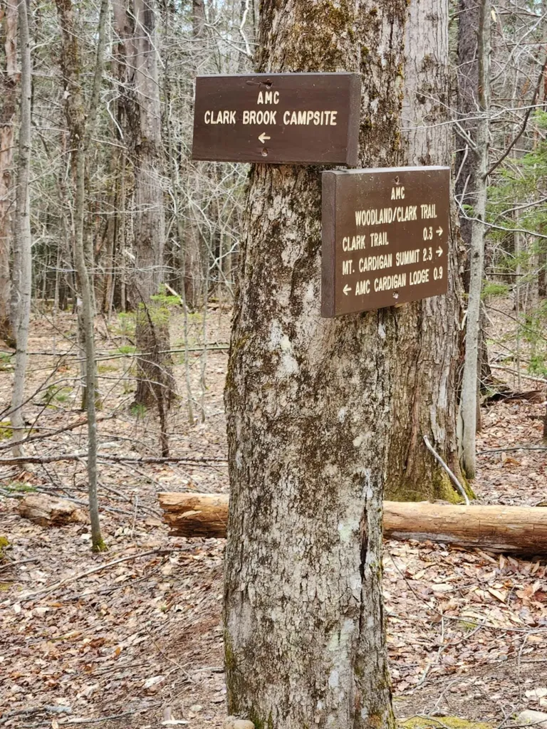 0 Clarks/woodland Trail Alexandria NH 03220