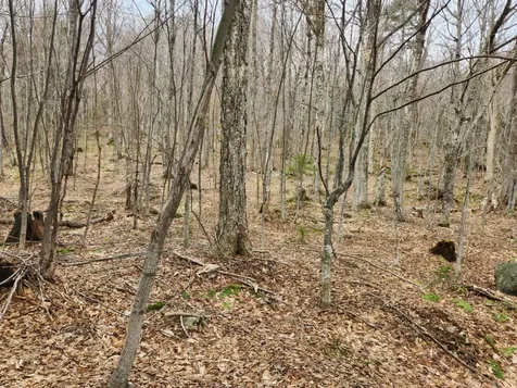 0 Clarks/woodland Trail Alexandria NH 03220