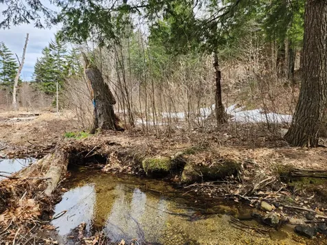 0 Clarks/woodland Trail Alexandria NH 03220