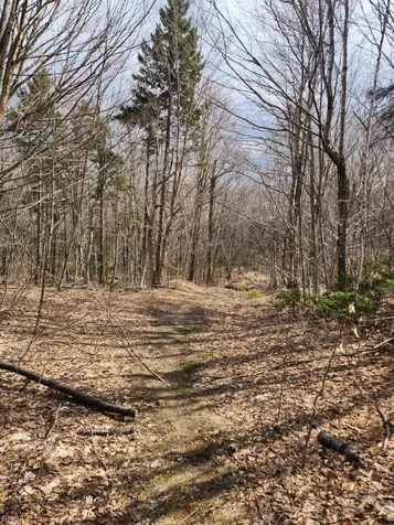 0 Clarks/woodland Trail Alexandria NH 03220