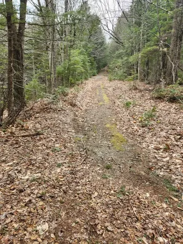 0 Clarks/woodland Trail Alexandria NH 03220