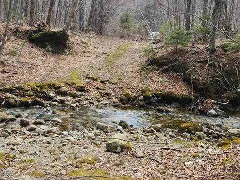 0 Clarks/woodland Trail Alexandria NH 03220