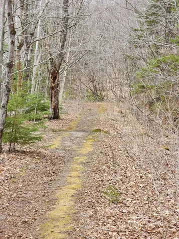 0 Clarks/woodland Trail Alexandria NH 03220