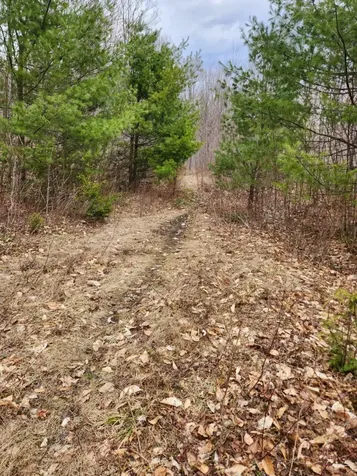 0 Clarks/woodland Trail Alexandria NH 03220