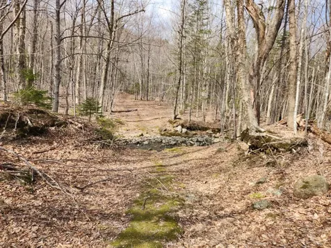 0 Clarks/woodland Trail Alexandria NH 03220
