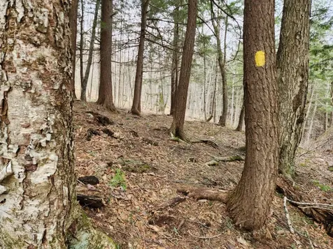 0 Clarks/woodland Trail Alexandria NH 03220