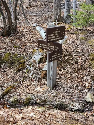 0 Clarks/woodland Trail Alexandria NH 03220