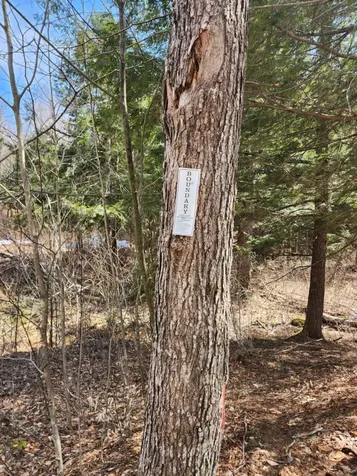 0 Clarks/woodland Trail Alexandria NH 03220