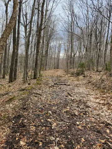 0 Clarks/woodland Trail Alexandria NH 03220