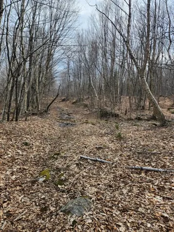 0 Clarks/woodland Trail Alexandria NH 03220