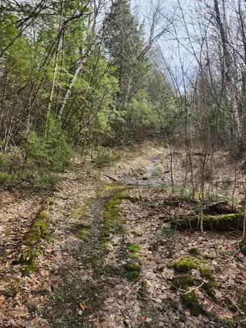 0 Clarks/woodland Trail Alexandria NH 03220