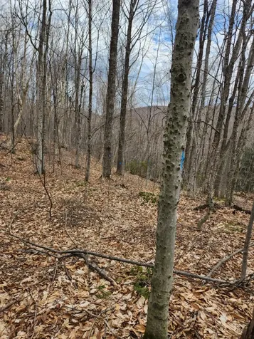 0 Clarks/woodland Trail Alexandria NH 03220