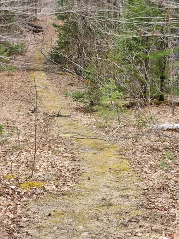 0 Clarks/woodland Trail Alexandria NH 03220