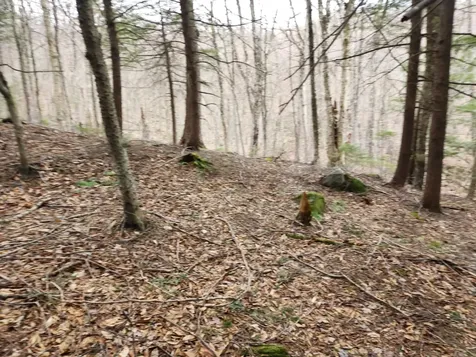 0 Clarks/woodland Trail Alexandria NH 03220