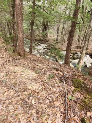 0 Clarks/woodland Trail Alexandria NH 03220