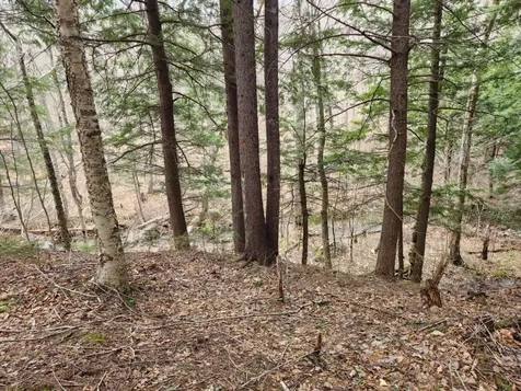 0 Clarks/woodland Trail Alexandria NH 03220