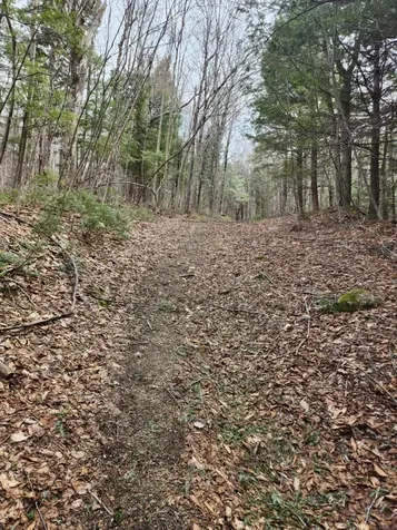 0 Clarks/woodland Trail Alexandria NH 03220