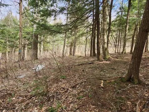 0 Clarks/woodland Trail Alexandria NH 03220