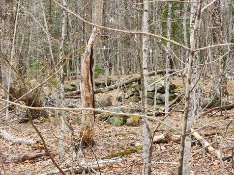 0 Clarks/woodland Trail Alexandria NH 03220