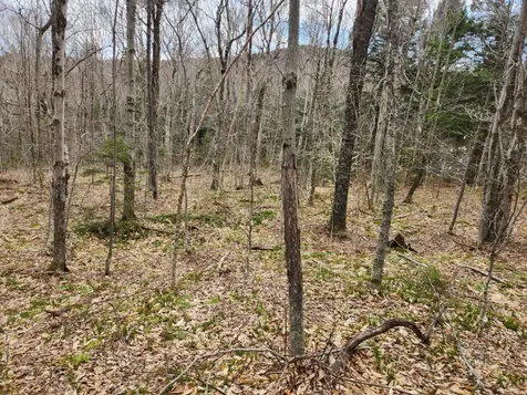 0 Clarks/woodland Trail Alexandria NH 03220