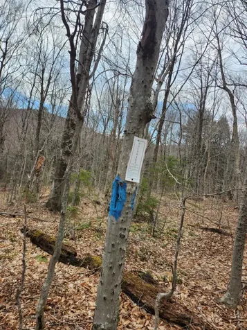 0 Clarks/woodland Trail Alexandria NH 03220
