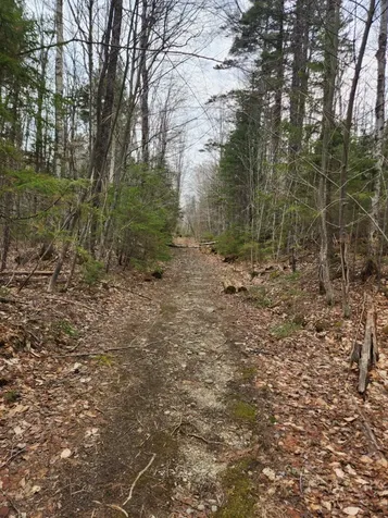 0 Clarks/woodland Trail Alexandria NH 03220