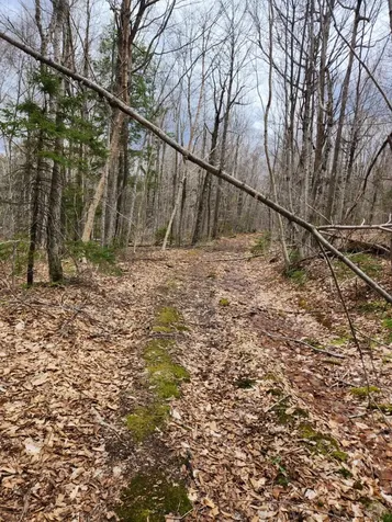 0 Clarks/woodland Trail Alexandria NH 03220