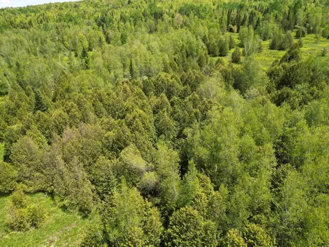 Tetreault Road Newport Town VT 05857