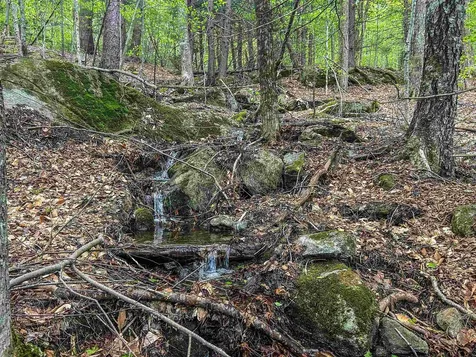 00 River Road Groton NH 03266