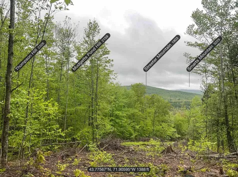 00 River Road Groton NH 03266