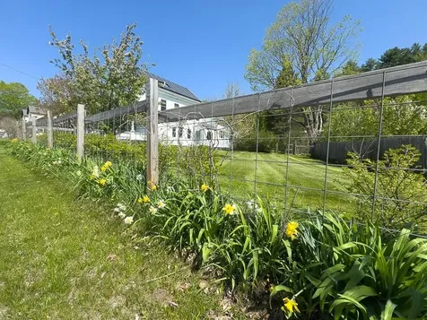 1408 Scott Highway Groton VT 05046
