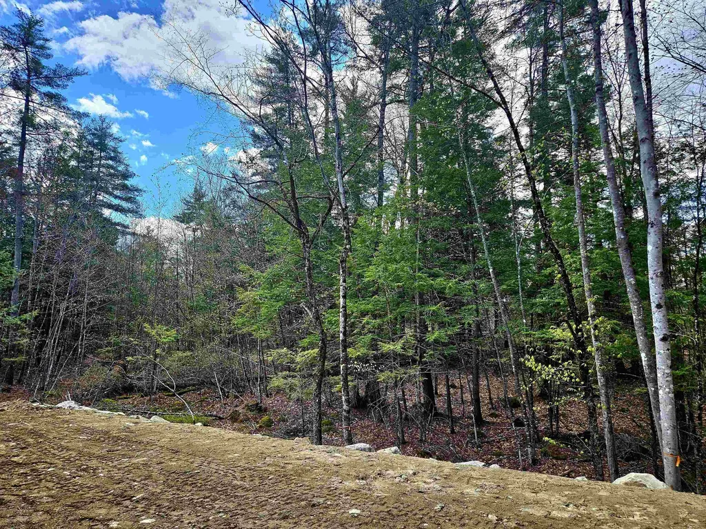 Lot 10 Bay Road Farmington NH 03835