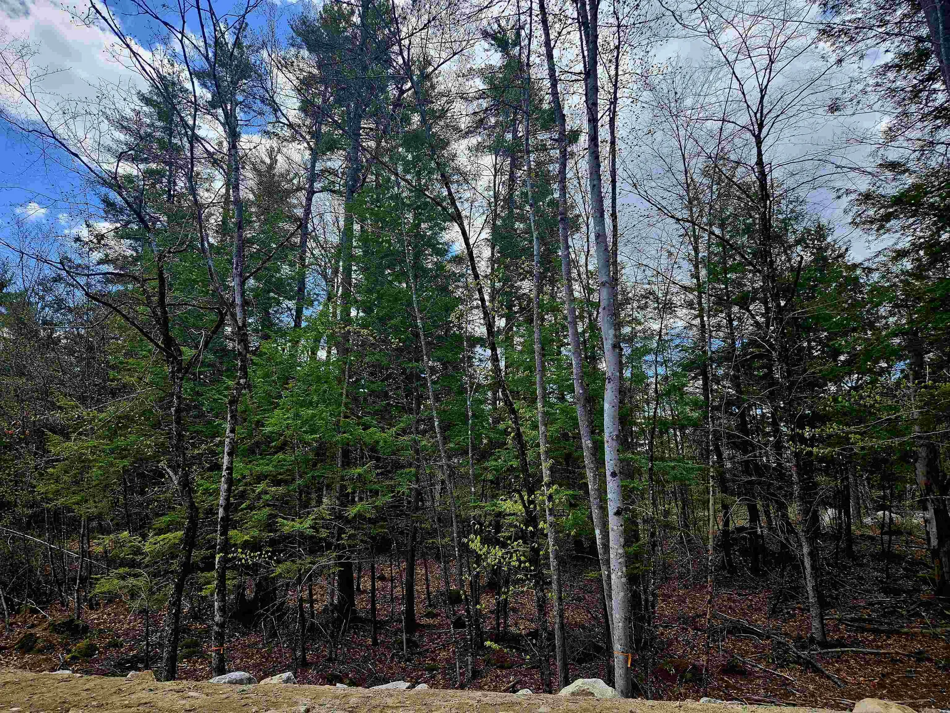 Lot 10 Bay Road Farmington NH 03835