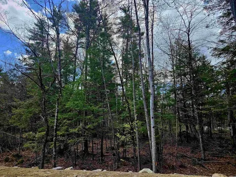 Lot 10 Bay Road Farmington NH 03835