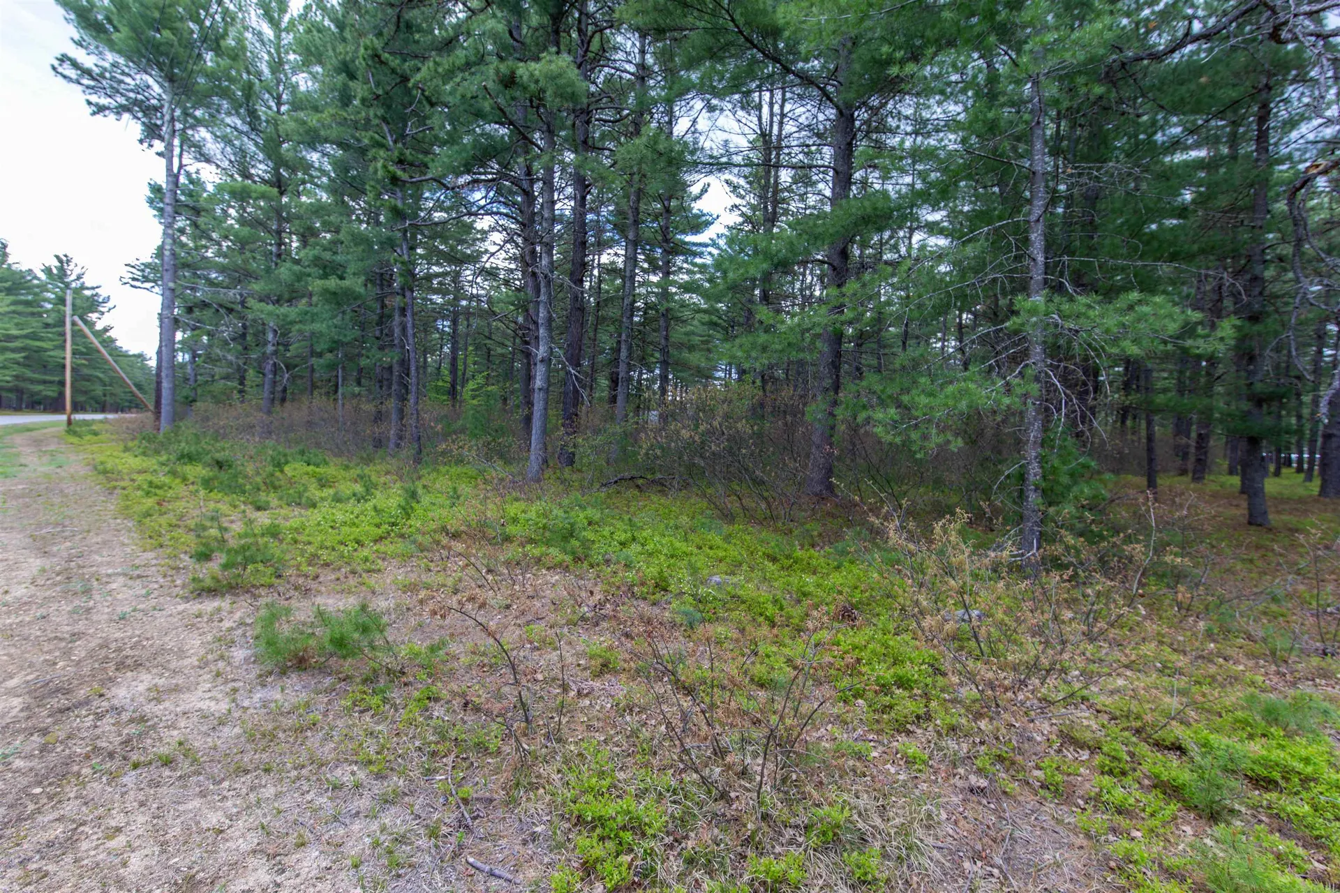 36 Logan Way Ossipee NH 03890