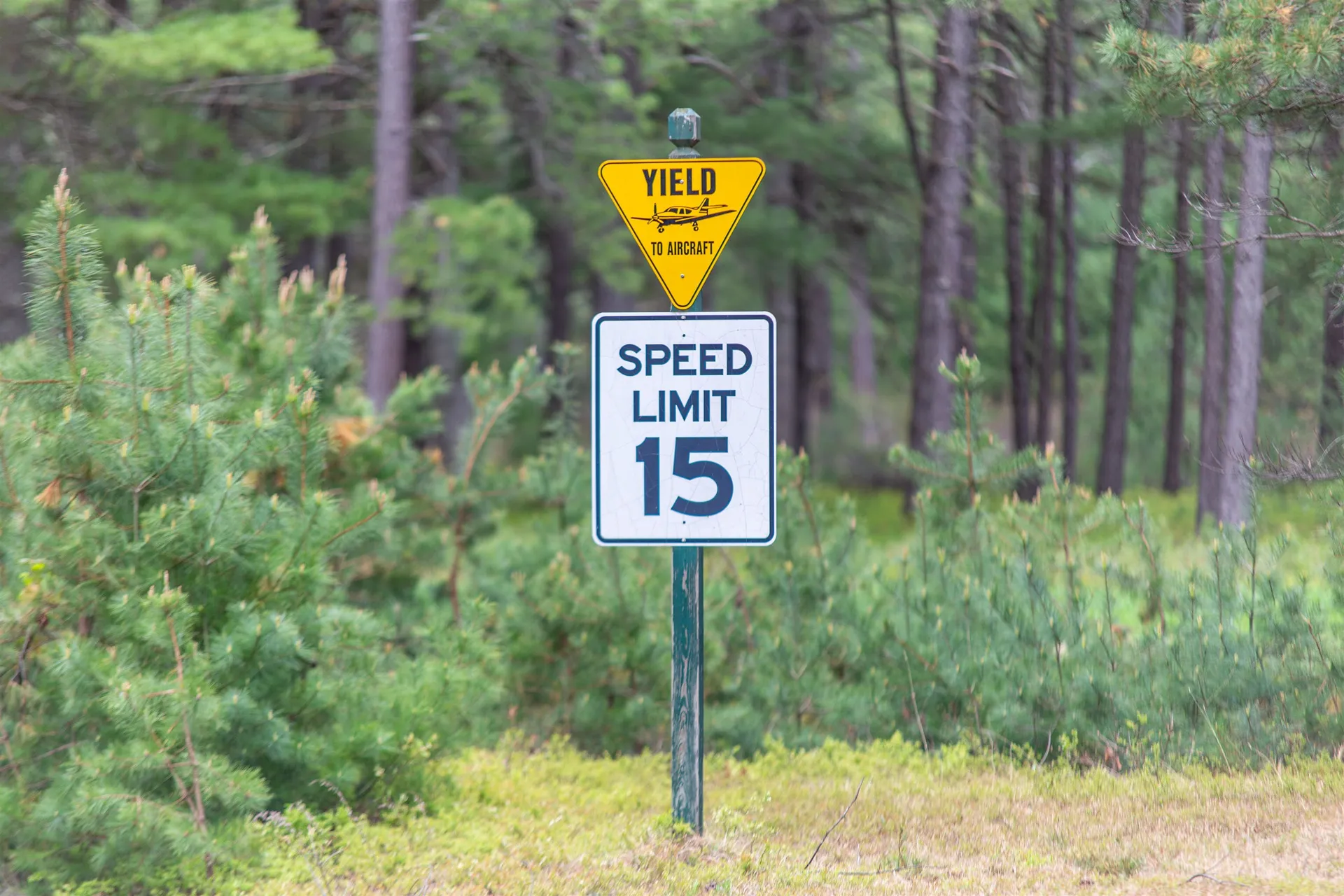 36 Logan Way Ossipee NH 03890