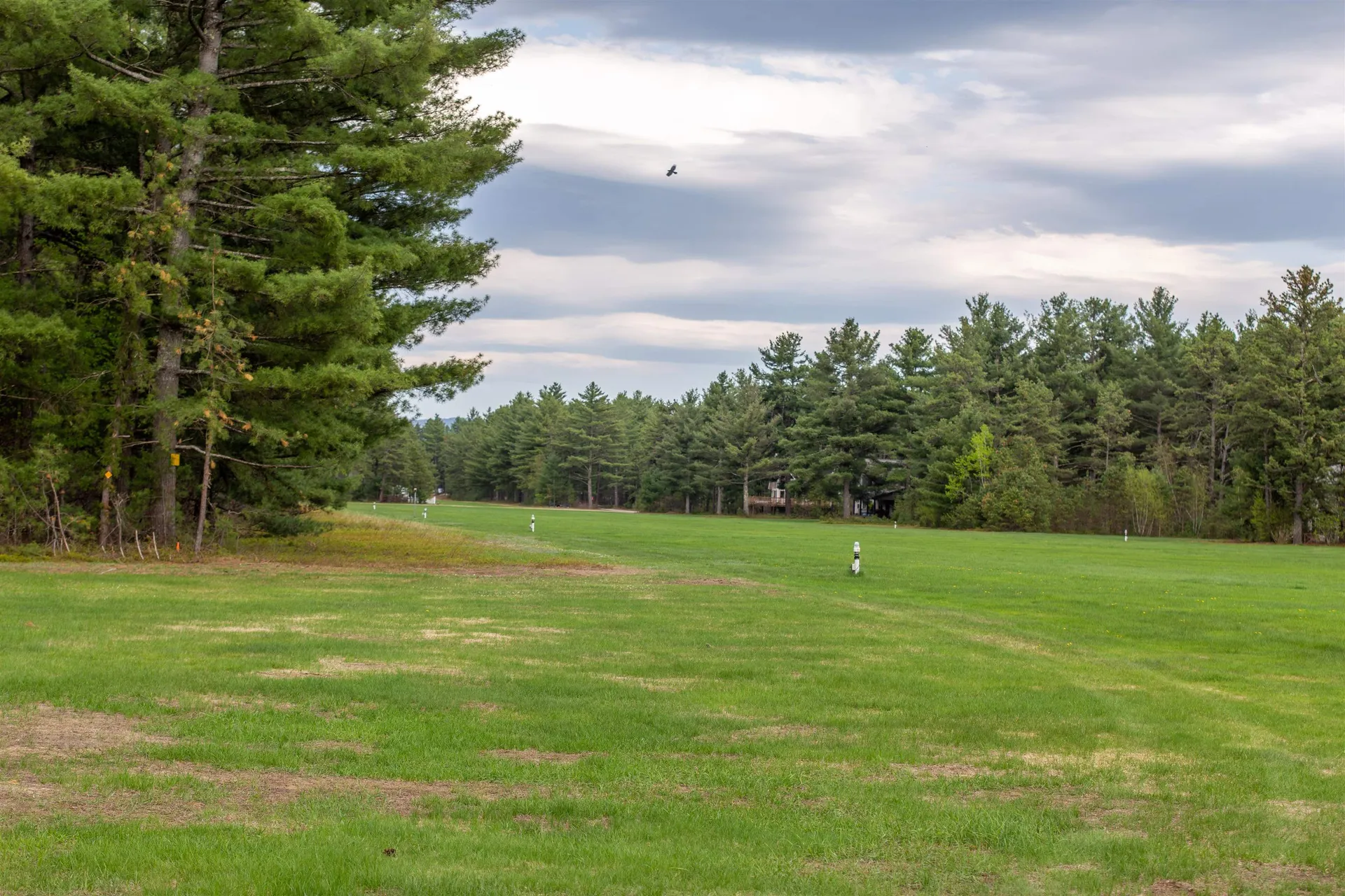 36 Logan Way Ossipee NH 03890