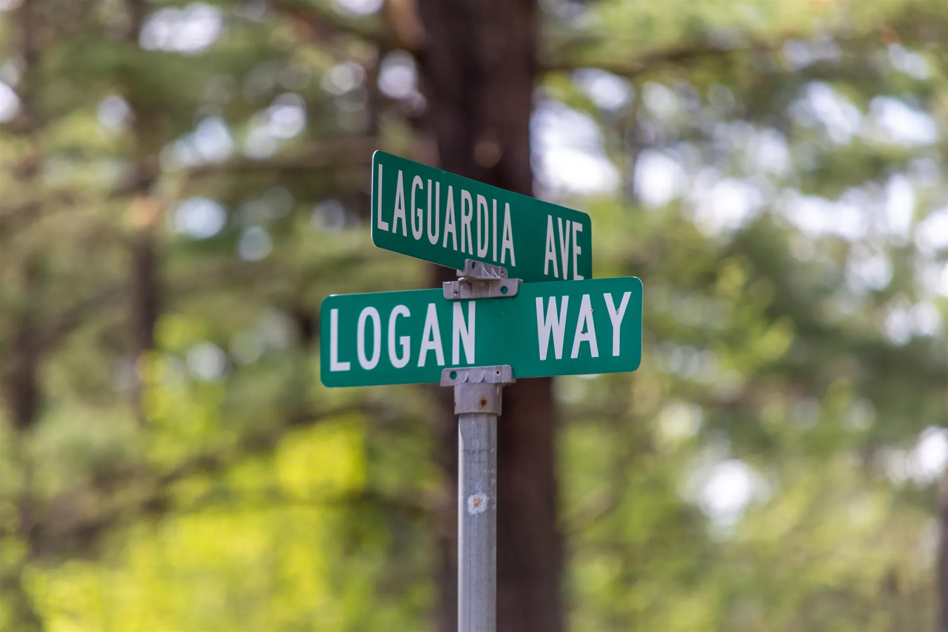 36 Logan Way Ossipee NH 03890