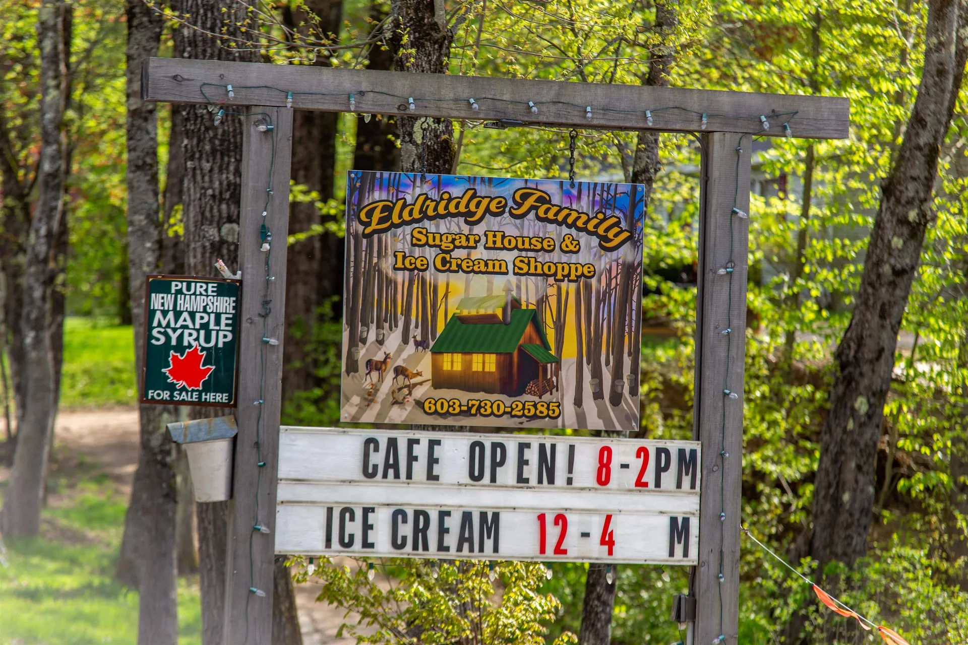 36 Logan Way Ossipee NH 03890