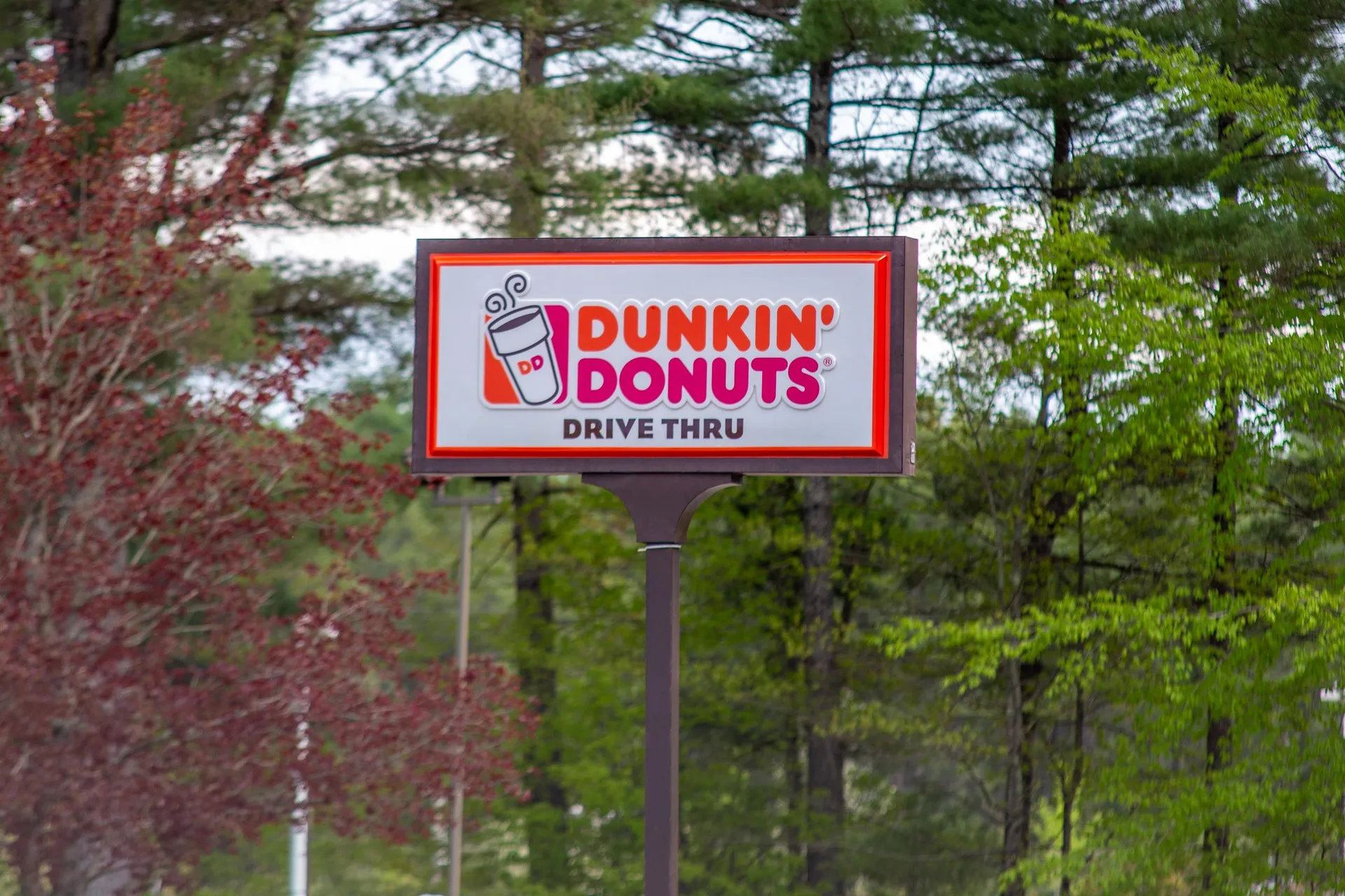 36 Logan Way Ossipee NH 03890