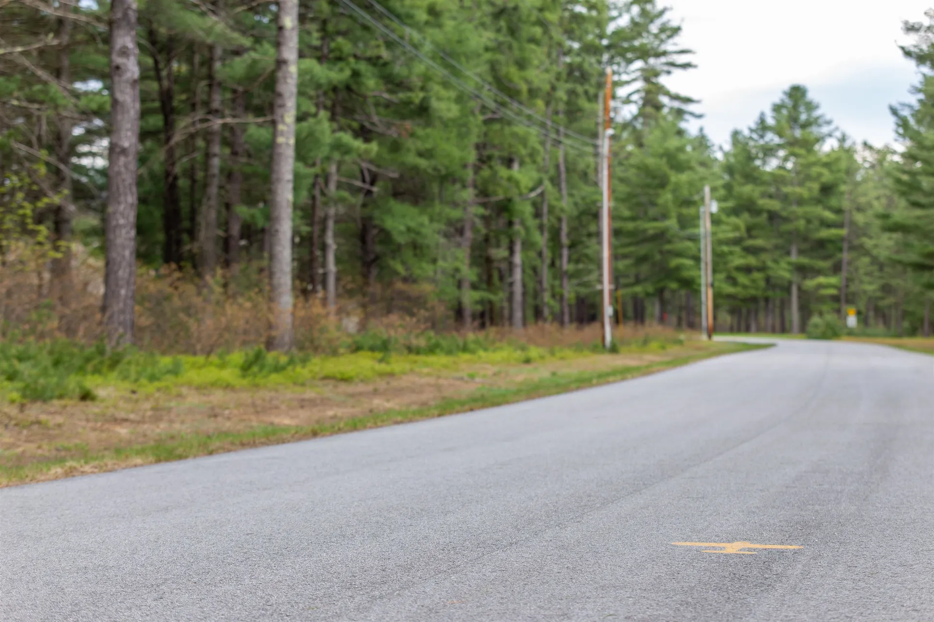 36 Logan Way Ossipee NH 03890