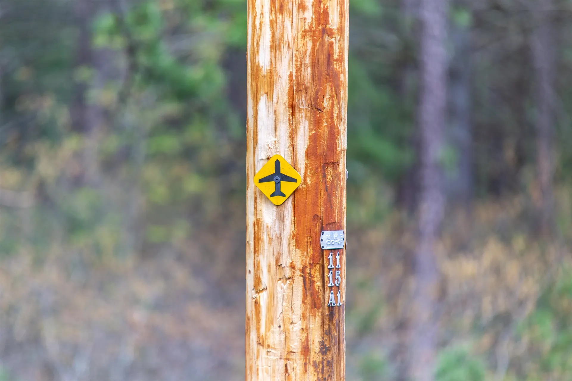 36 Logan Way Ossipee NH 03890