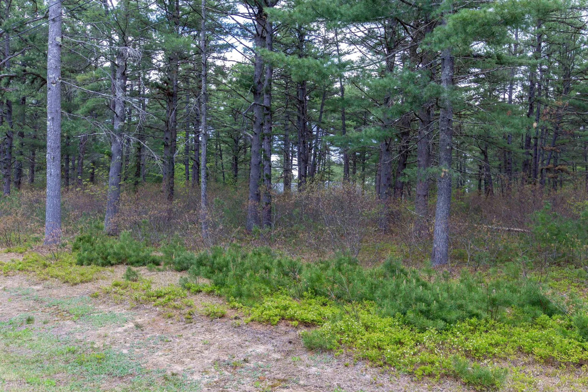 36 Logan Way Ossipee NH 03890