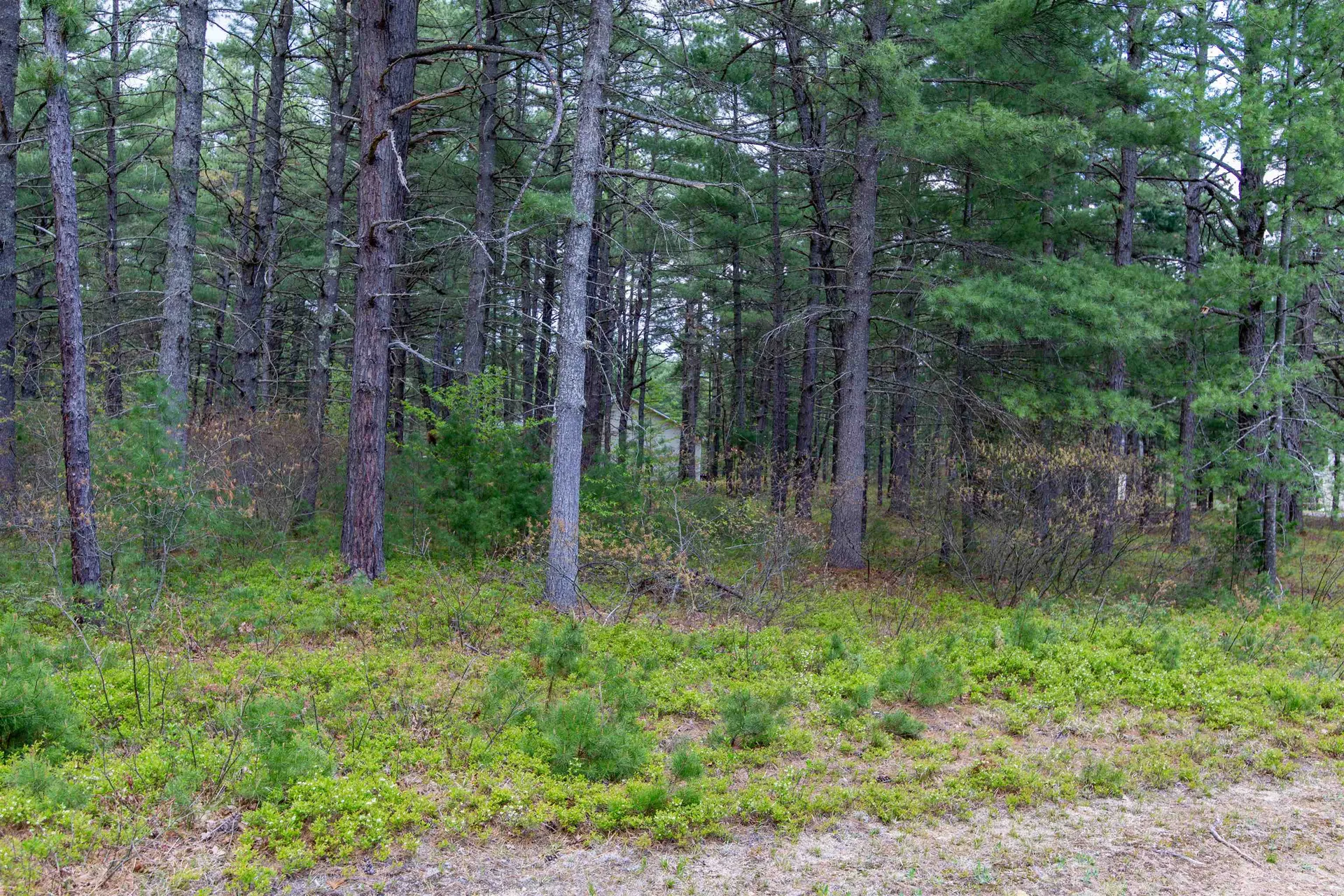 36 Logan Way Ossipee NH 03890