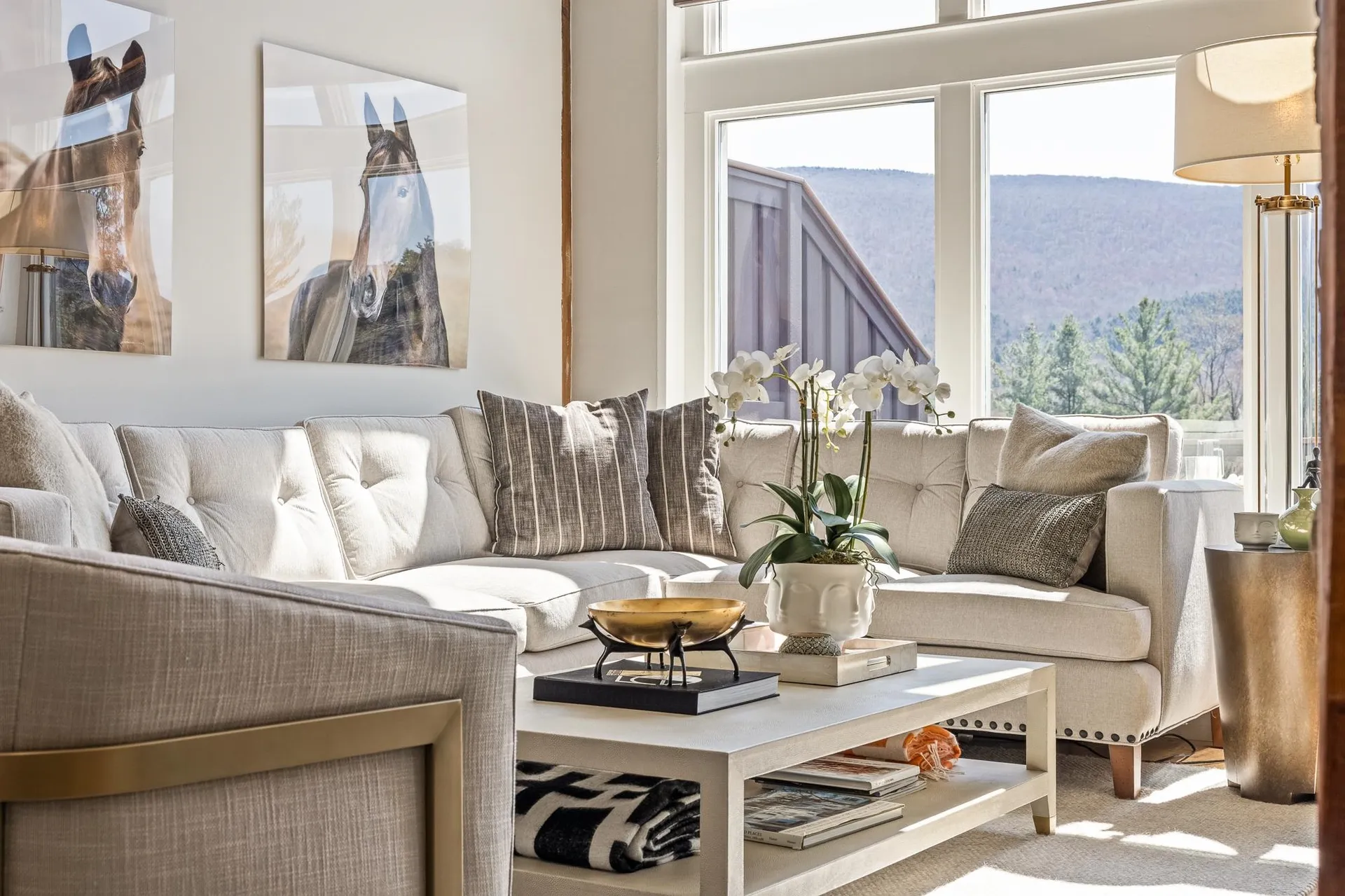 764 Barnumville Road Manchester VT 05255